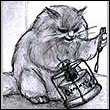 Взаимный фолловинг, RuFollowBack