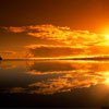 Взаимный фолловинг, RuFollowBack