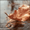 Взаимный фолловинг, RuFollowBack