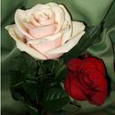 Nancy Garces - @NancyGarces1982 - Twitter