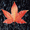Взаимный фолловинг, RuFollowBack