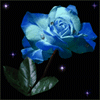 Взаимный фолловинг, RuFollowBack