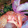 Взаимный фолловинг, RuFollowBack
