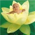 Взаимный фолловинг, RuFollowBack
