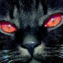 Взаимный фолловинг, RuFollowBack