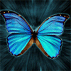 Взаимный фолловинг, RuFollowBack