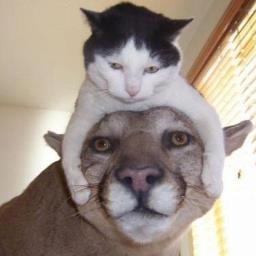 moonzoot's profile picture. 