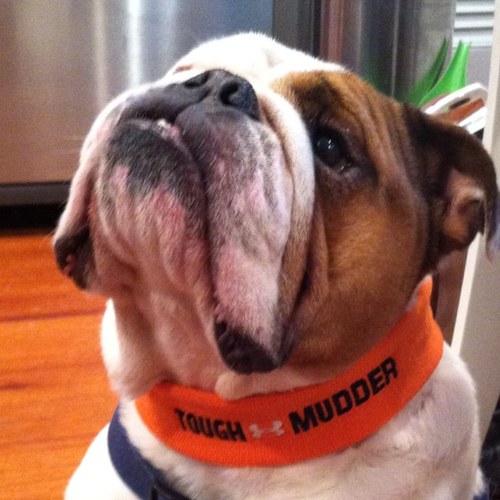 pauljkoob's profile picture. 