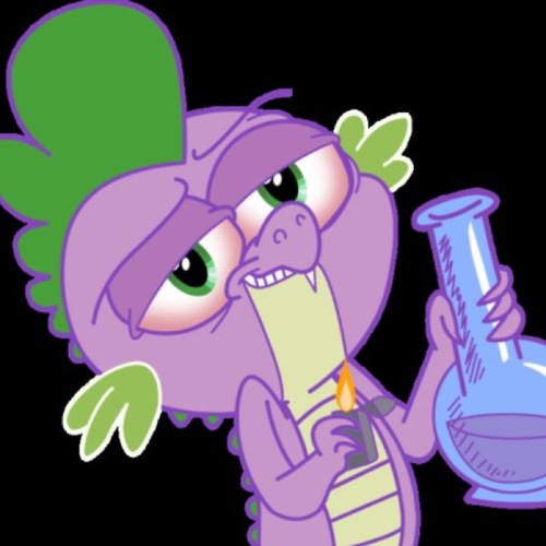 Hey everypony. I live in ponyville with Twilight. Pinkie. Apple Jack. Rarity. And all other ponies.