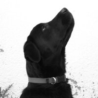 Marcos García (@markoslorca) 's Twitter Profile Photo