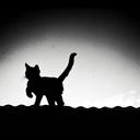 chalo (@05Chalo) Twitter