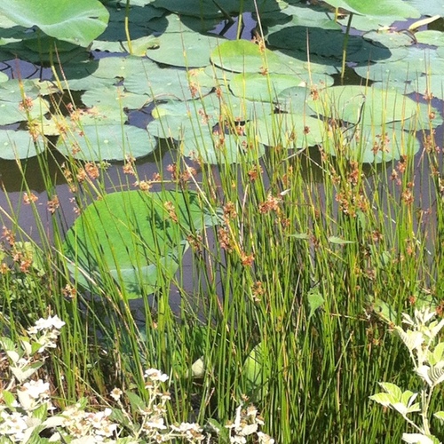 BayLane's profile picture. 