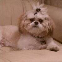 brend_eavenson's profile picture. 