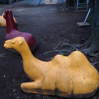 ayiw (@kooo_n_da) 's Twitter Profile