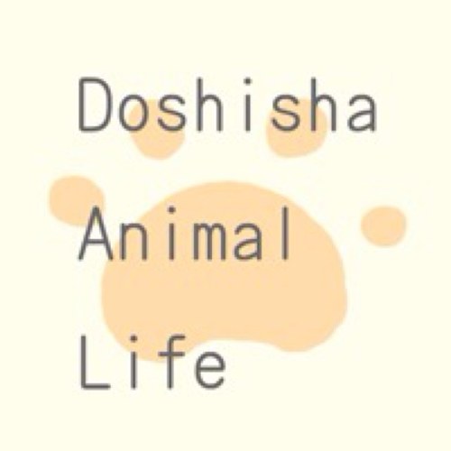 同志社大学で2012年夏に誕生した動物福祉サークル Doshisha Animal Lifeです。メンバーは少ないですが熱い思いを持って活動を始めました。フォローよろしくお願いします！ ★新メンバー大募集中！気軽に連絡ください！♡YouTube始めました。