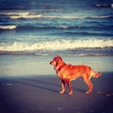 Max Hoyt - @MHthedog - Twitter