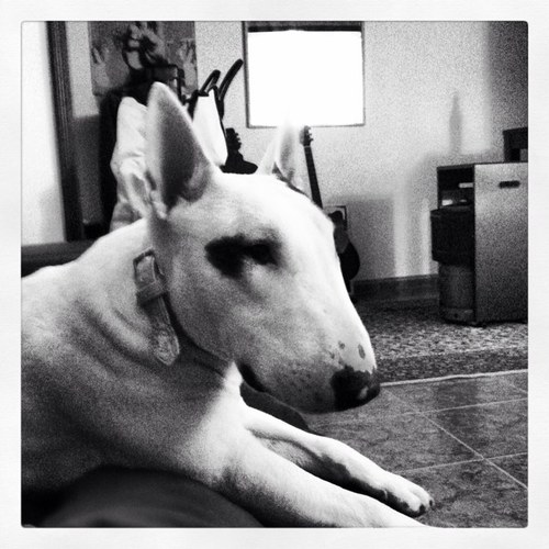 mourapereira79's profile picture. 