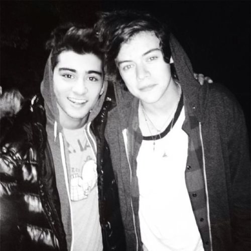 free follow from @zaynfairy ily stay sexually frustrated