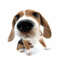 Neil Franks - @NeilFranks4 - Twitter