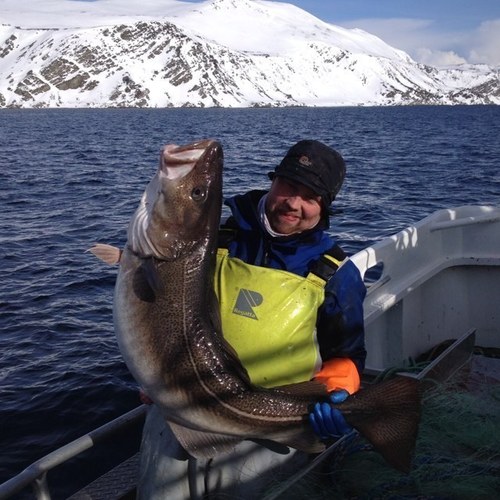 JohnGuttorm's profile picture. 