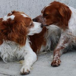 LupettiTeresa's profile picture. Seguace del frigorifero. #sfigatidelsabatosera tessera 2113 laureata al M.I.T. in #svagoetempolibero