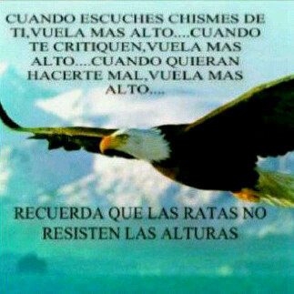 Jose gregorio