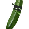 sone_gurke's profile picture. Kehren Sie der Gurke niemals den Rücken zu!