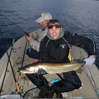 Scott McDonald (@scottymac8899) 's Twitter Profile