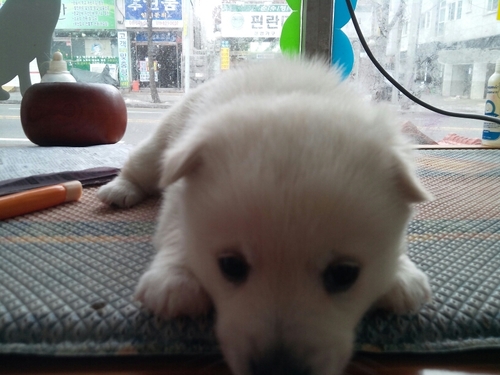 반갑습니다.^^