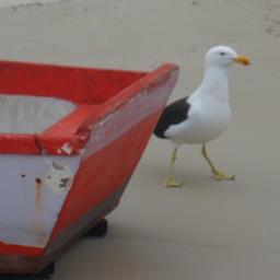 info_lagos_rj's profile picture. Fique ligado nas informações e em tudo o que acontece na Região dos Lagos