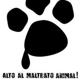 ALTO al maltrato animal !