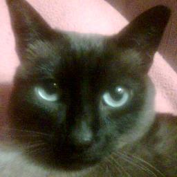 yolarule's profile picture. Cuando menos te lo esperas va la vida y te sorprende