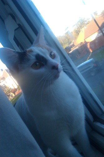 annlouisestid's profile picture. 