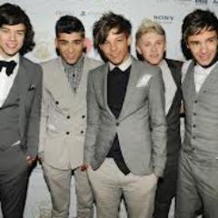 I'm a Italian Directioner.i Love One Direction Are my life.Harry my pervert man.Louis We are from Shelter c':.Niall=Nando's voidlol.Liam're Sweet.Zayn Love u x