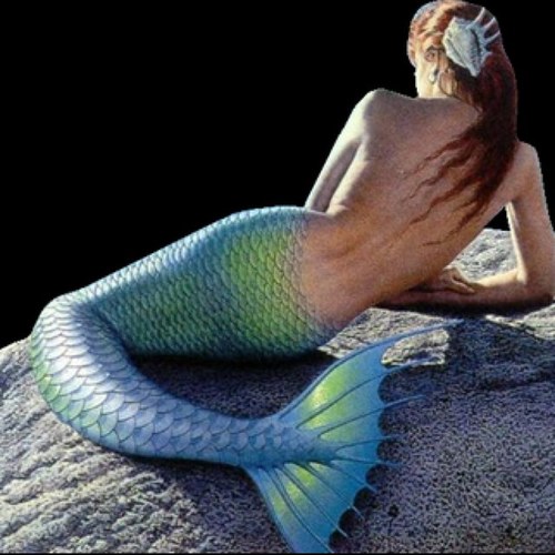Just your average mermaid.