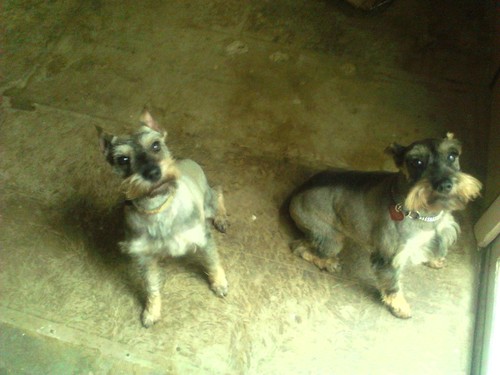 naomilove60's profile picture. 