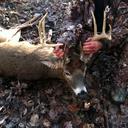 john rhoades - @RhoadesPhac - Twitter