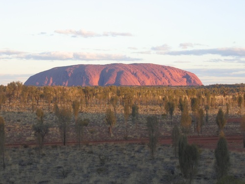 PalyaUluru's profile picture. 