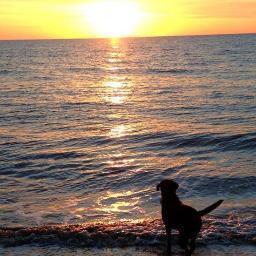 swehttamkram's profile picture. 