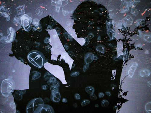 Cave Dogs brings together visual artists, musicians, puppeteers, dancers, storytellers and writers to create works of experimental  shadow theater.