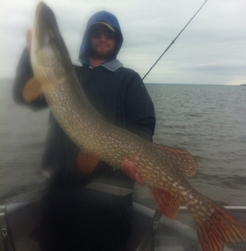 Albertan. Hockey. Penguins. Fishing.