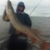 Rod Friesen (@rfriesen87) Twitter profile photo Rod Friesen (@rfriesen87) Twitter profile photo