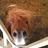 notyap_outdoors's profile image