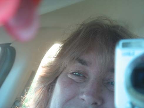 dmactree's profile picture. Puttering to the 'nth' degree//TabloidesqueDilettantesGoAway// When you tell the truth you don't have to remember what you said - Twain, Loosely quoted.