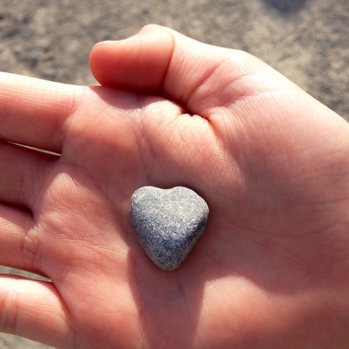 FireFox3190's profile picture. Stay strong no matter what life throws at you. Don't live your life with regrets.