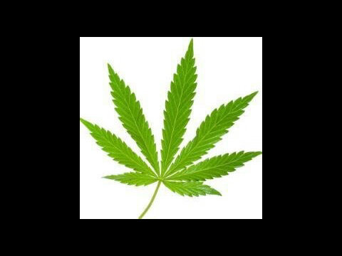 meetMaryJane420's profile picture. #weed #maryjane FOLLOW THE SMELL ;)