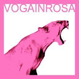 http://t.co/ejPLKyWcUF  Il blog delle donne della voga veneta