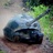 Reckless_Turtle's profile image