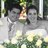 NICHO_PAREDES's profile image