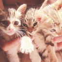 mehreen_memon - @M_Memaon - Twitter